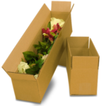 caja-floresfinal-300x298